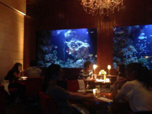 ＤＥＮ アクアルーム 新宿 （DEN AQUAROOM SHINJUKU）