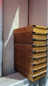 IEKEI TOKYO 王道家直系